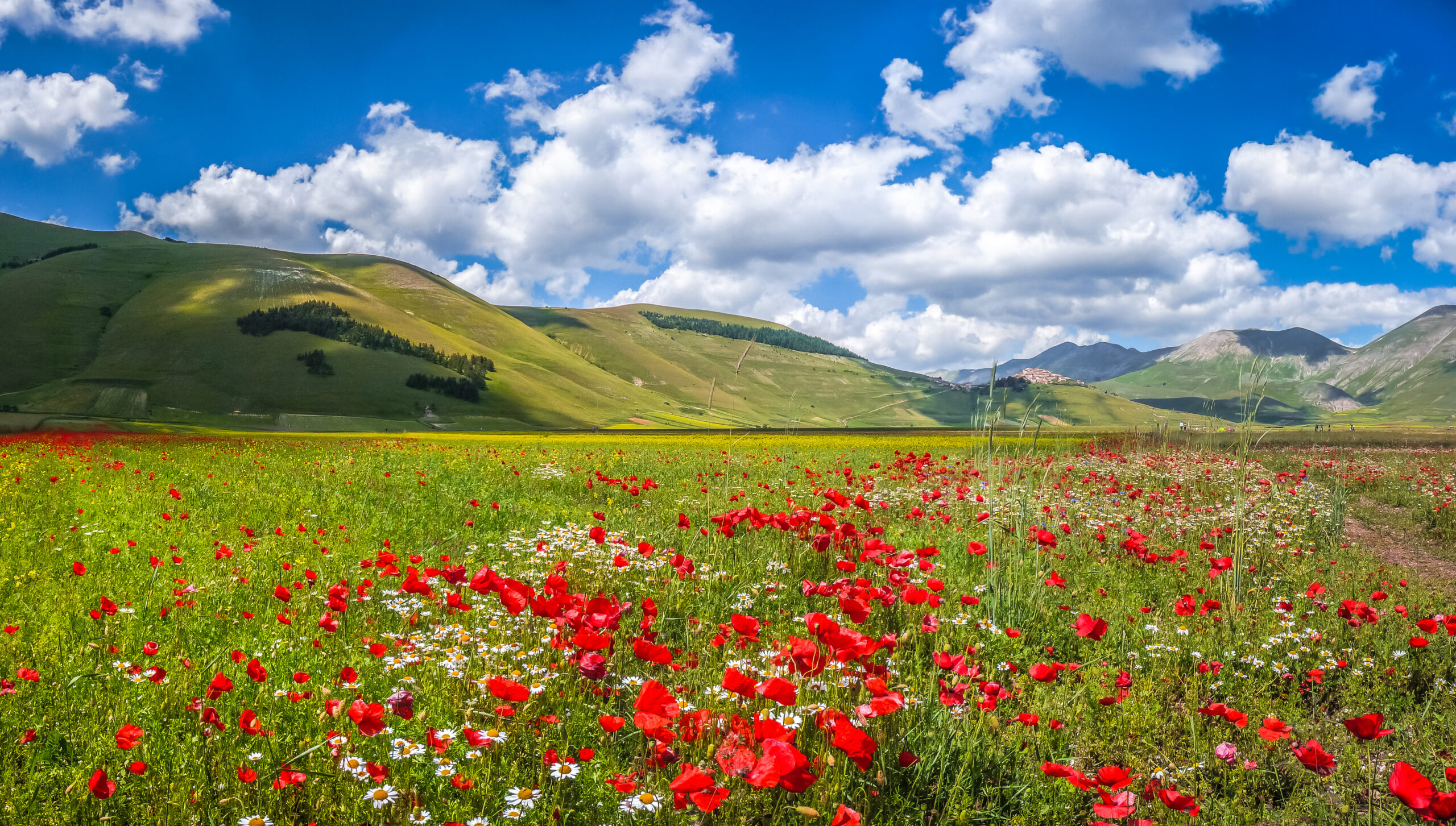 Castelluccio i Umbria