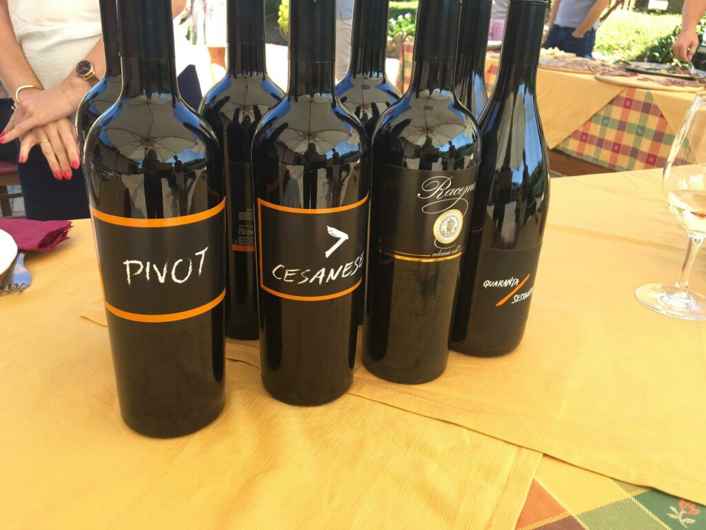 Vinsmaking utenfor Roma - Castelli Romani